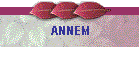 ANNEM