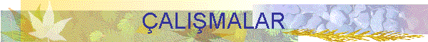 ALIMALAR
