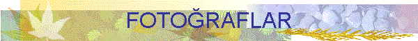 FOTORAFLAR