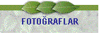 FOTORAFLAR