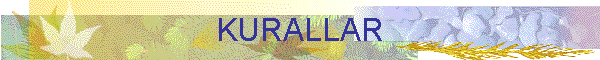 KURALLAR