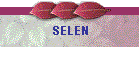 SELEN