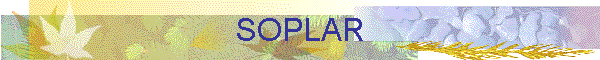 SOPLAR