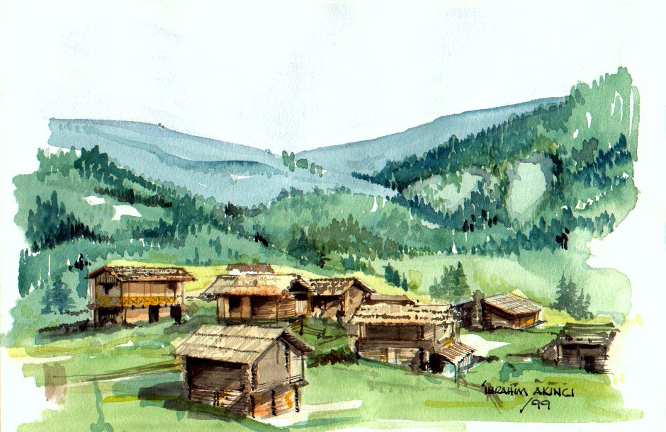 Resim03.jpg (118197 bytes)